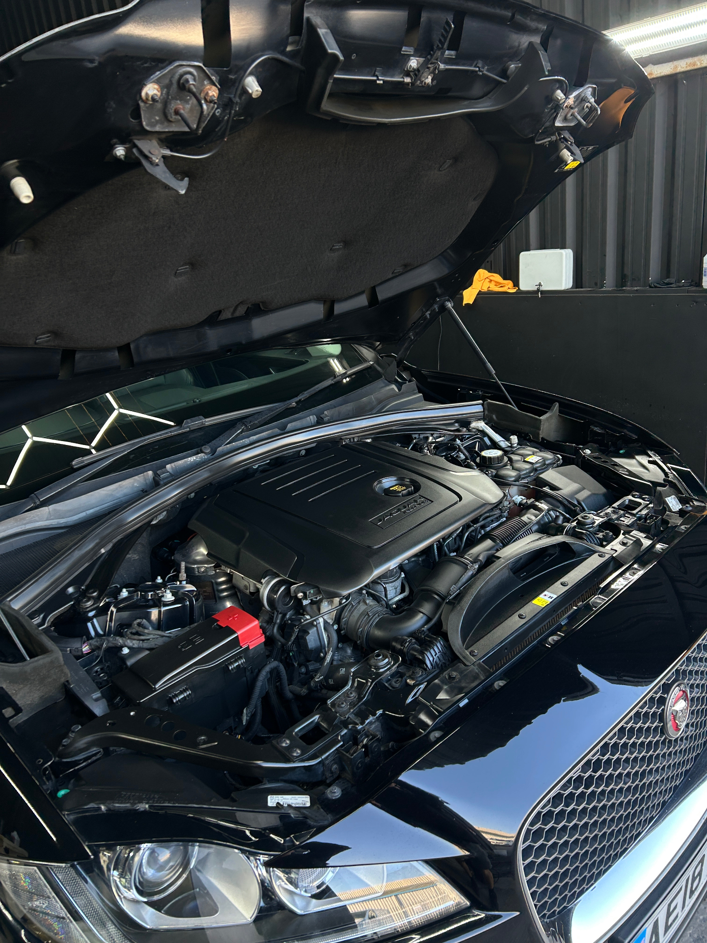 Engine Bay Detail